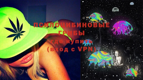 соль ск Семилуки