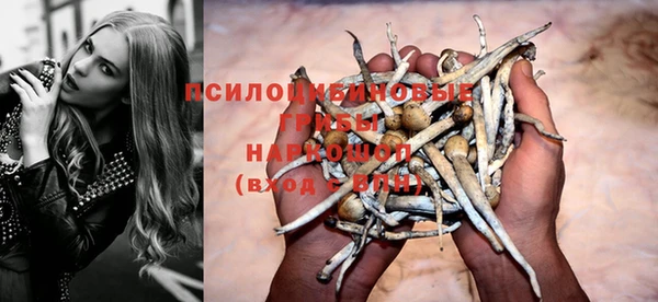 spice Зеленодольск