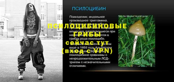 шишки Зеленокумск