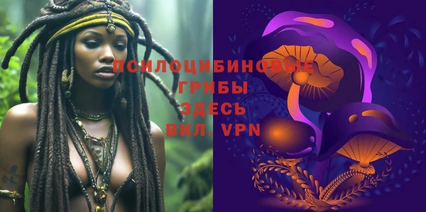 эйфоретик Сясьстрой