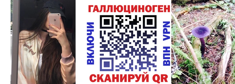 купить закладку  Снежинск  это Telegram  Псилоцибиновые грибы мицелий 